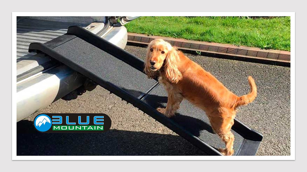 Rampa Para Mascotas Ultra Ligera Rampa De Perros – BLUE MOUNTAIN